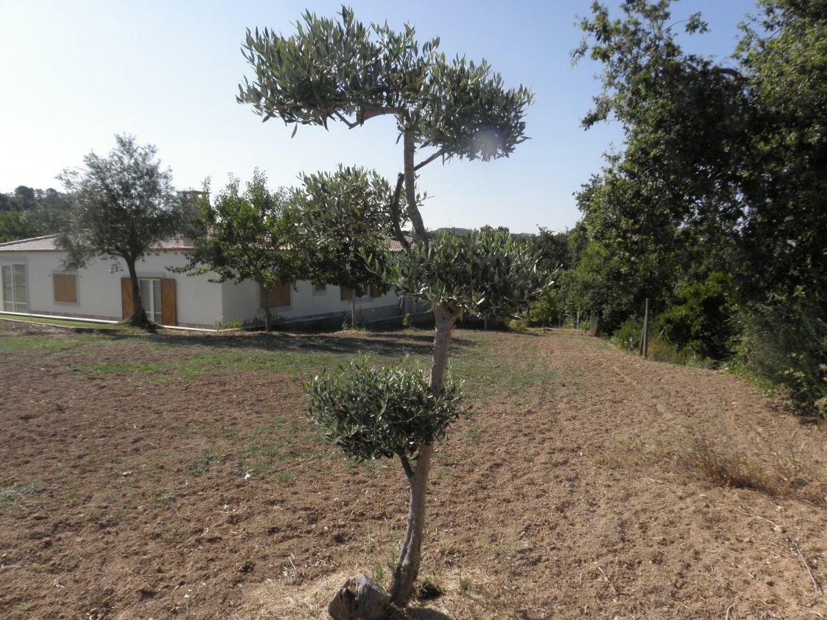 מלון מירנדה דו קורבו Quinta Mata Da Se מראה חיצוני תמונה